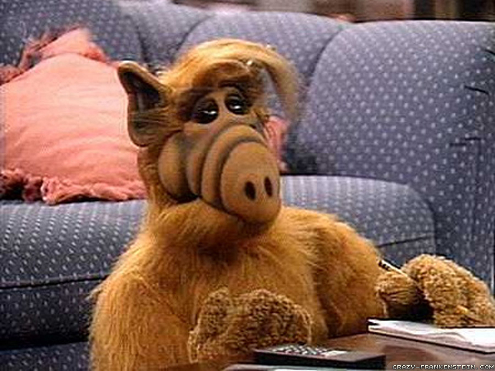 ALF Do You Remember 