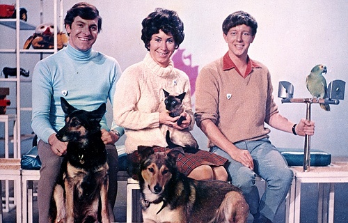 Blue Peter Dogs Names For John Noakes Blue Peter Dogs Names For John Noakes