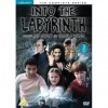 Into the labyrinth