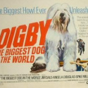 Digby the biggest dog in the world