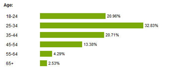 visitor demographics - age