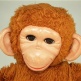Chatter Chimp