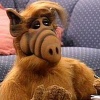 ALF