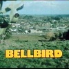 Bellbird