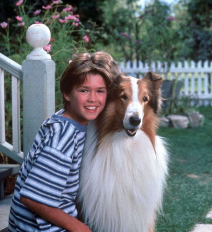 Lassie Saved Timmy So Many Times She Eventually Went Pro