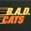 B.A.D Cats