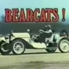 Bear Cats