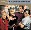 A Flock of Seagulls