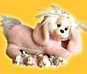 Puppy Surprise