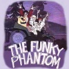 Funky Phantom Time