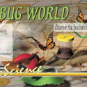 Bug World