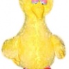 Big Bird