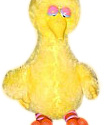 Big Bird