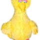 Big Bird
