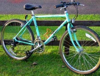 90s raleigh mountain bikes