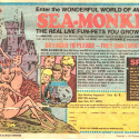 Sea Monkeys