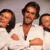 The Hee Bee Gee Bees