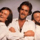 The Hee Bee Gee Bees