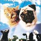 The Adventures of Milo and Otis