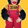 Zip The Monkey