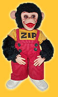 Zip The Monkey Do You Remember